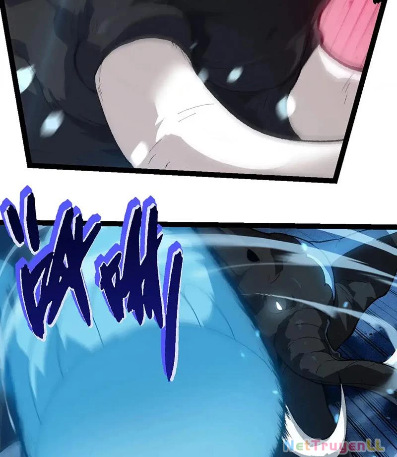 Chuyển Sinh Thành Liễu Đột Biến Chapter 247 - Trang 2