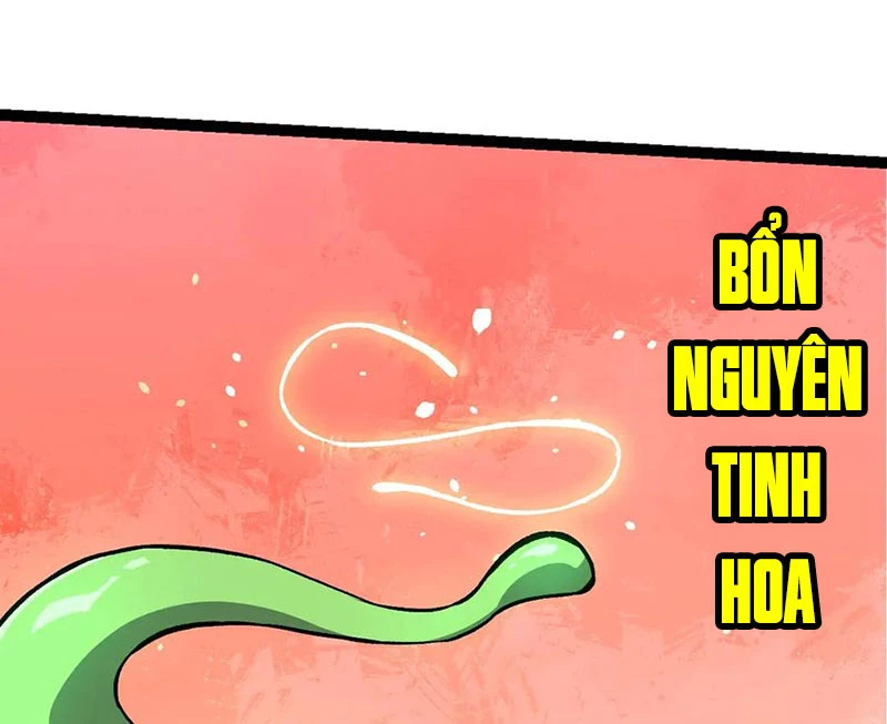 Chuyển Sinh Thành Liễu Đột Biến Chapter 255 - Trang 2