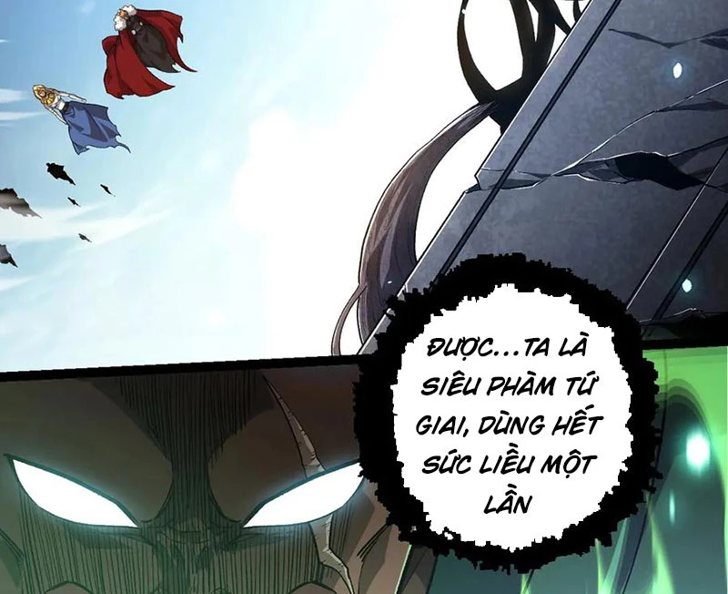 Chuyển Sinh Thành Liễu Đột Biến Chapter 255 - Trang 2