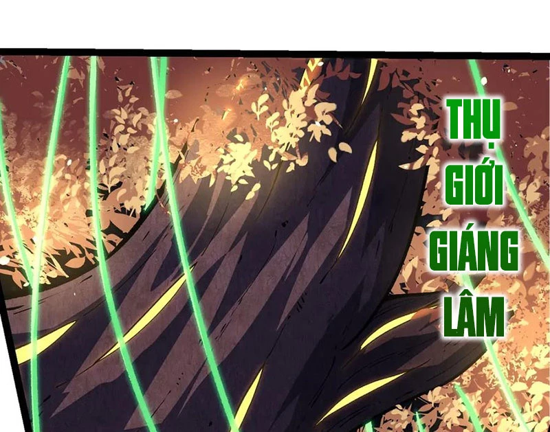 Chuyển Sinh Thành Liễu Đột Biến Chapter 255 - Trang 2