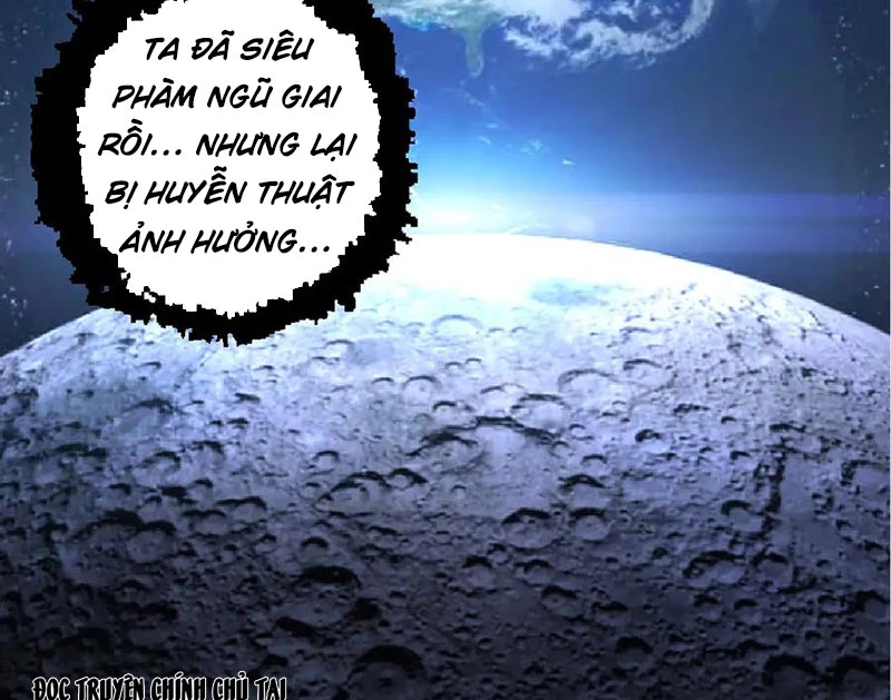 Chuyển Sinh Thành Liễu Đột Biến Chapter 256 - Trang 2