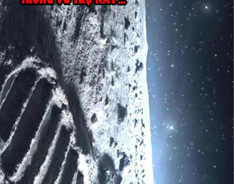 Chuyển Sinh Thành Liễu Đột Biến Chapter 256 - Trang 2