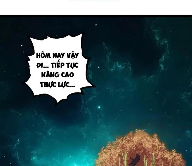 Chuyển Sinh Thành Liễu Đột Biến Chapter 270 - Trang 2