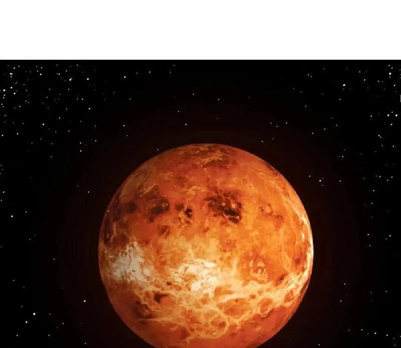 Chuyển Sinh Thành Liễu Đột Biến Chapter 270 - Trang 2