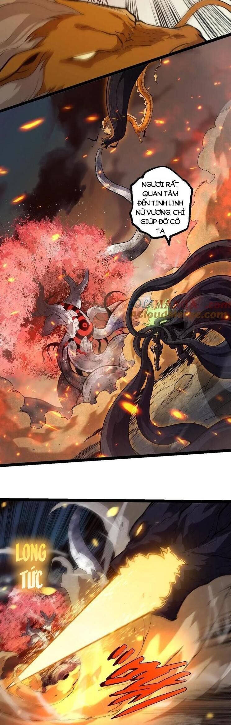 Chuyển Sinh Thành Liễu Đột Biến Chapter 309 - Trang 2