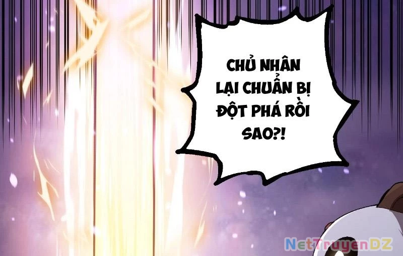Chuyển Sinh Thành Liễu Đột Biến Chapter 313 - Trang 2