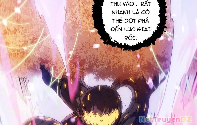 Chuyển Sinh Thành Liễu Đột Biến Chapter 314 - Trang 2