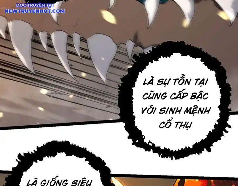 Chuyển Sinh Thành Liễu Đột Biến Chapter 319 - Trang 2