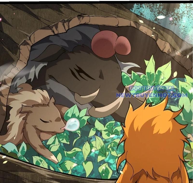 Chuyển Sinh Thành Liễu Đột Biến Chapter 322 - Trang 2