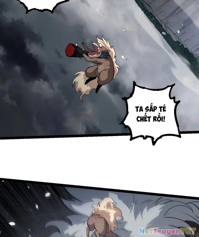 Chuyển Sinh Thành Liễu Đột Biến Chapter 325 - Trang 2