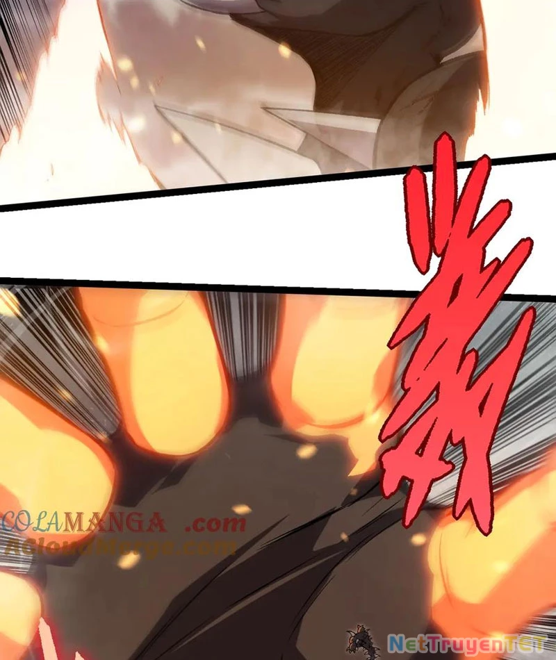 Chuyển Sinh Thành Liễu Đột Biến Chapter 325 - Trang 2