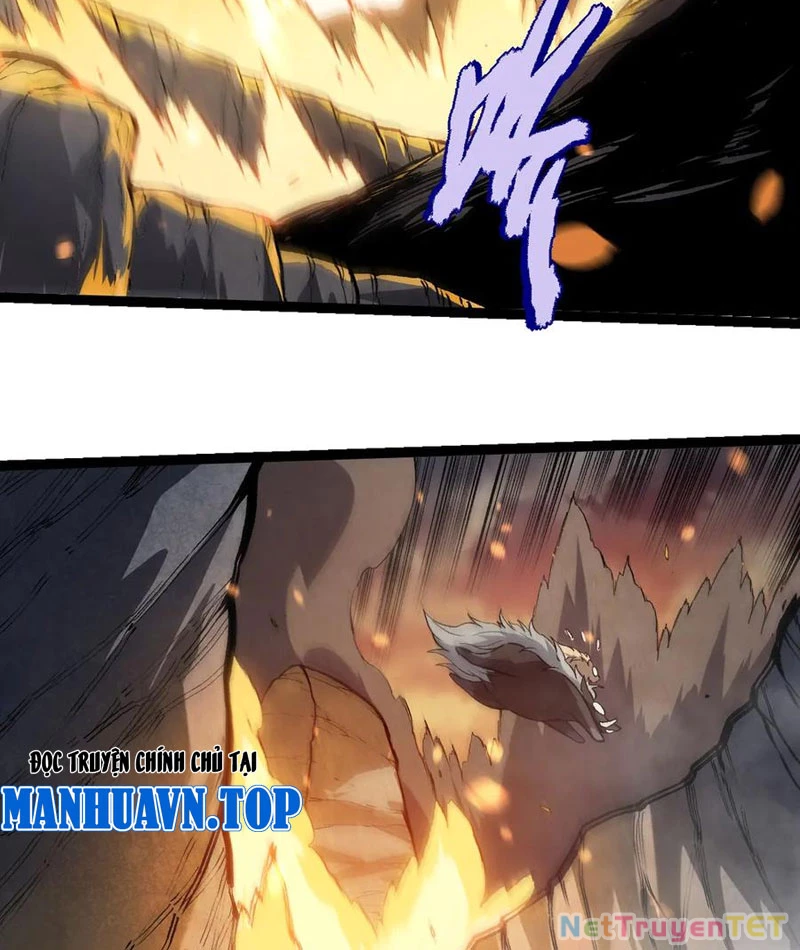 Chuyển Sinh Thành Liễu Đột Biến Chapter 325 - Trang 2