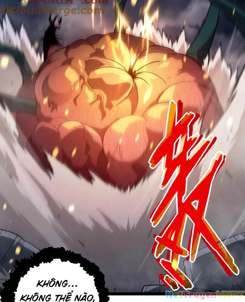 Chuyển Sinh Thành Liễu Đột Biến Chapter 358 - Trang 2