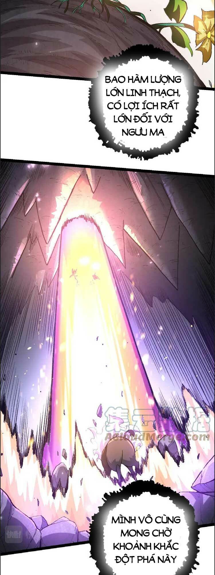 Chuyển Sinh Thành Liễu Đột Biến Chapter 43 - Trang 2