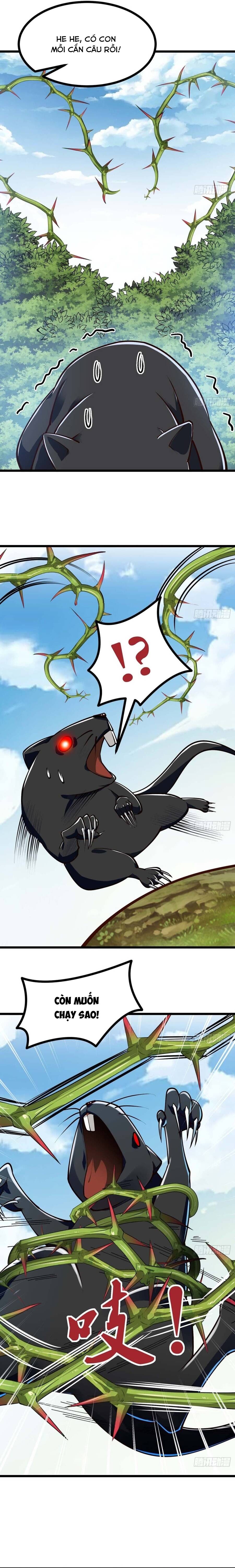 Chuyển Sinh Thành Một Cái Cây Ăn Thịt Chapter 11 - Trang 2