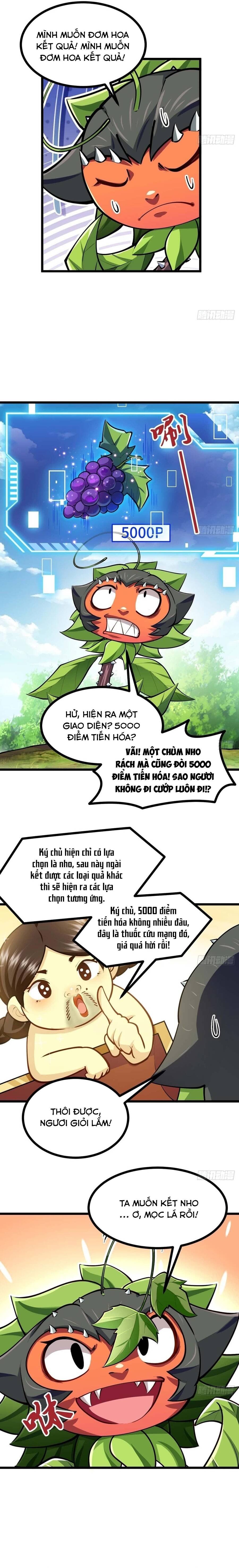 Chuyển Sinh Thành Một Cái Cây Ăn Thịt Chapter 15 - Trang 2