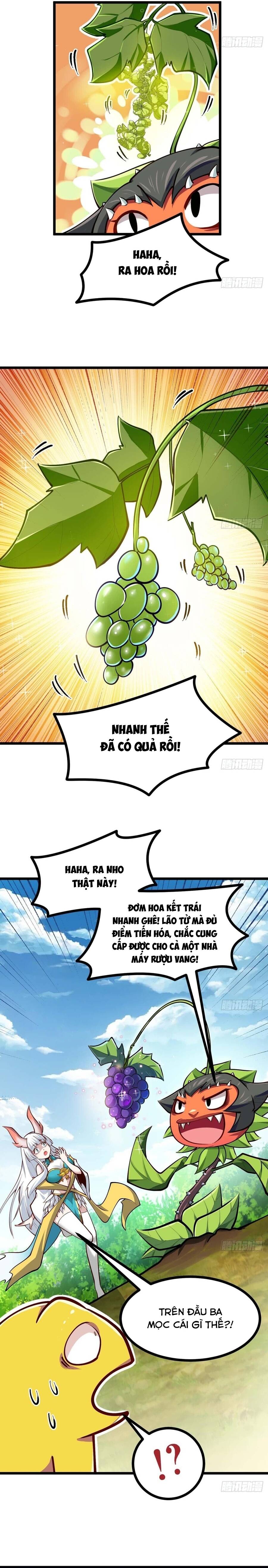 Chuyển Sinh Thành Một Cái Cây Ăn Thịt Chapter 15 - Trang 2