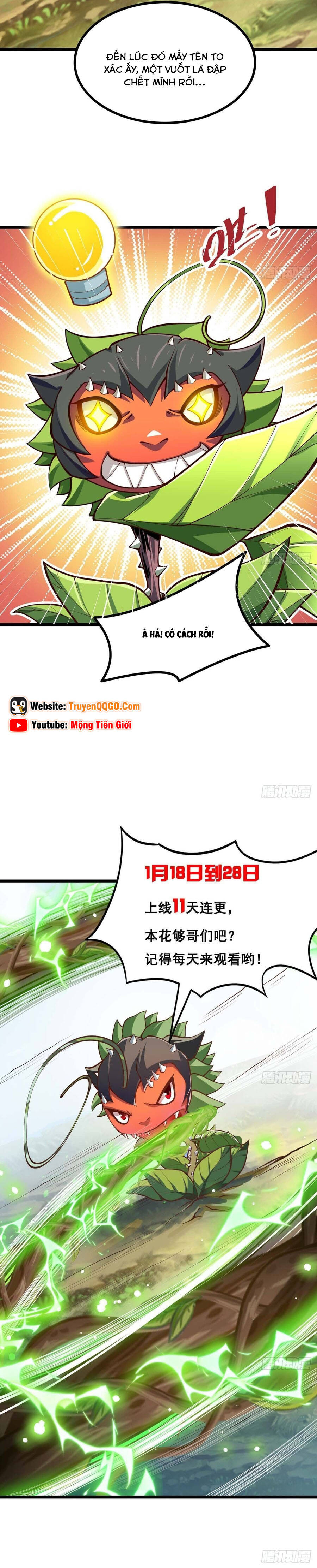 Chuyển Sinh Thành Một Cái Cây Ăn Thịt Chapter 5 - Trang 2