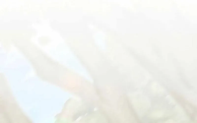 Chuyển Sinh Thành Thiên Tài Xuất Chúng Của Danh Môn Thế Gia Chapter 61 - Trang 2