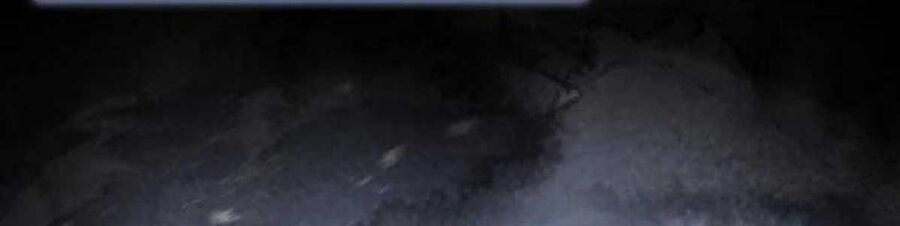 Chuyển Sinh Thành Tiêu Sư Chapter 82 - Trang 2