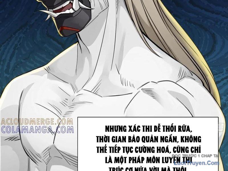 Chuyển Sinh Thành Tra Nam, Ta Giúp Thê Tử Trường Sinh Chapter 42 - Trang 2