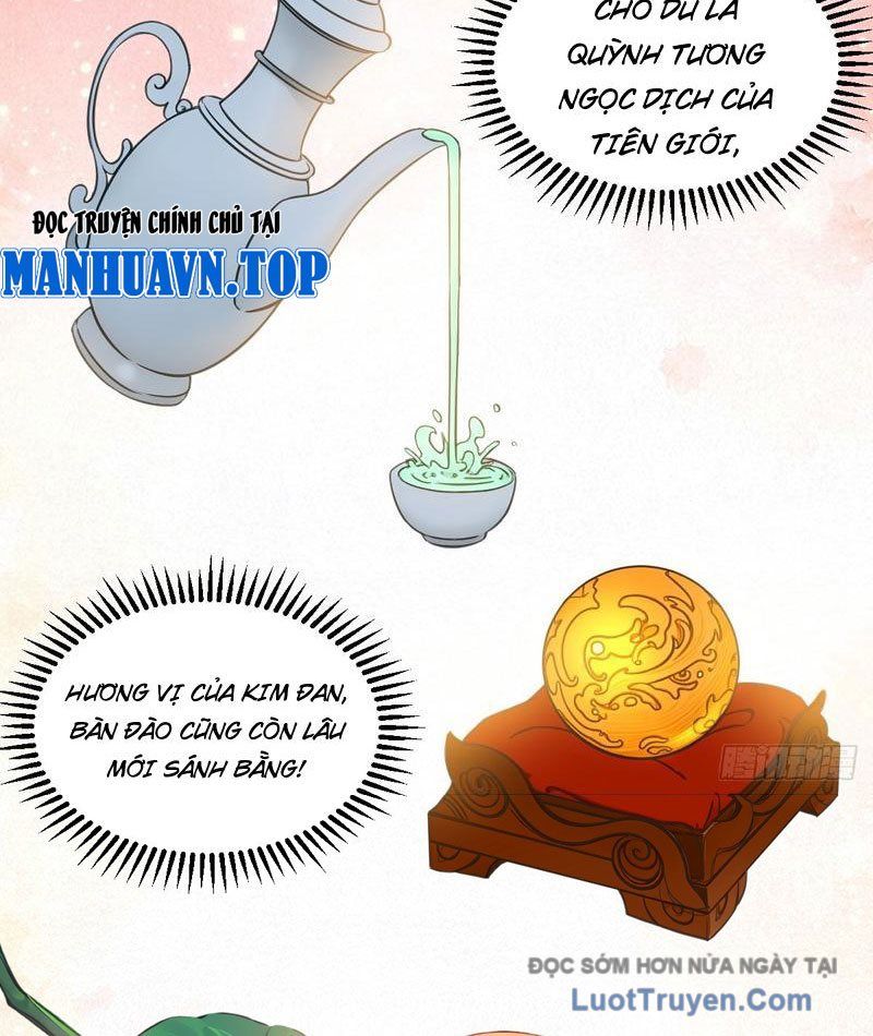 Chuyển Sinh Thành Tra Nam, Ta Giúp Thê Tử Trường Sinh Chapter 43 - Trang 2