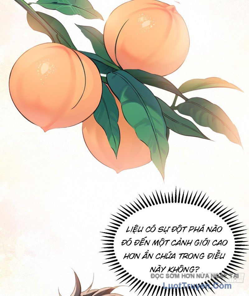 Chuyển Sinh Thành Tra Nam, Ta Giúp Thê Tử Trường Sinh Chapter 43 - Trang 2