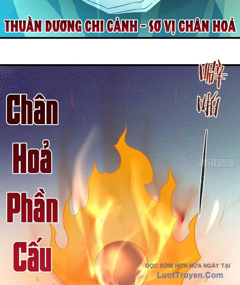 Chuyển Sinh Thành Tra Nam, Ta Giúp Thê Tử Trường Sinh Chapter 43 - Trang 2