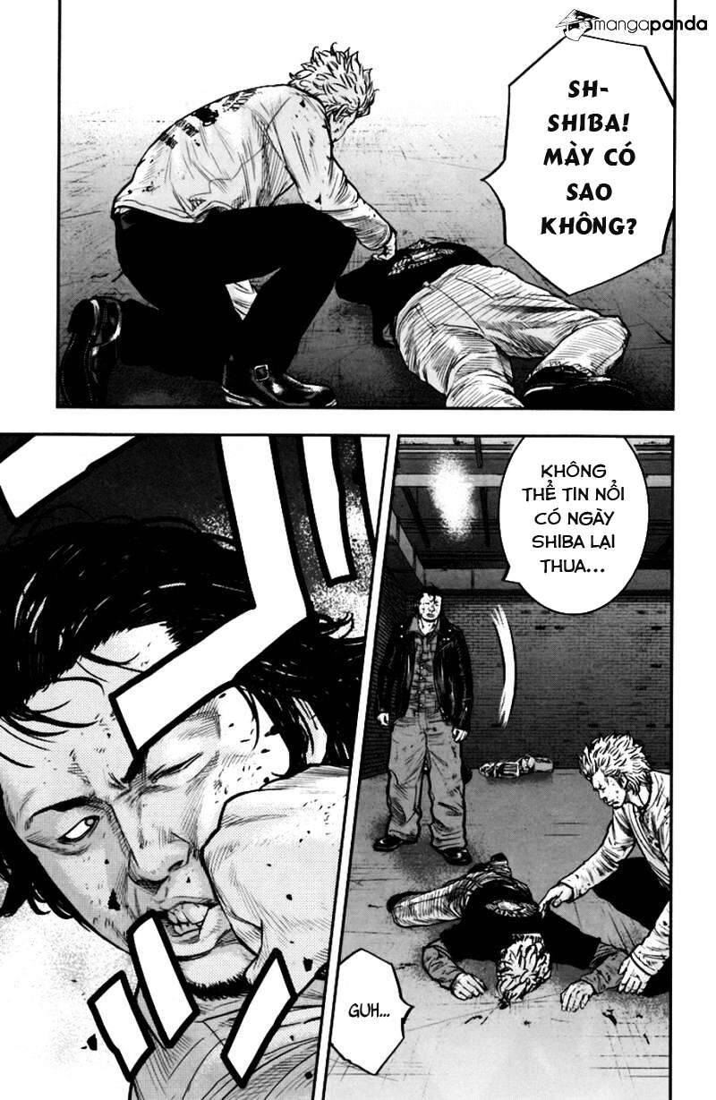 Clover (Tetsuhiro Hirakawa) Chapter 234 - Trang 2