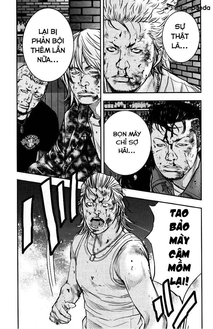 Clover (Tetsuhiro Hirakawa) Chapter 238 - Trang 2