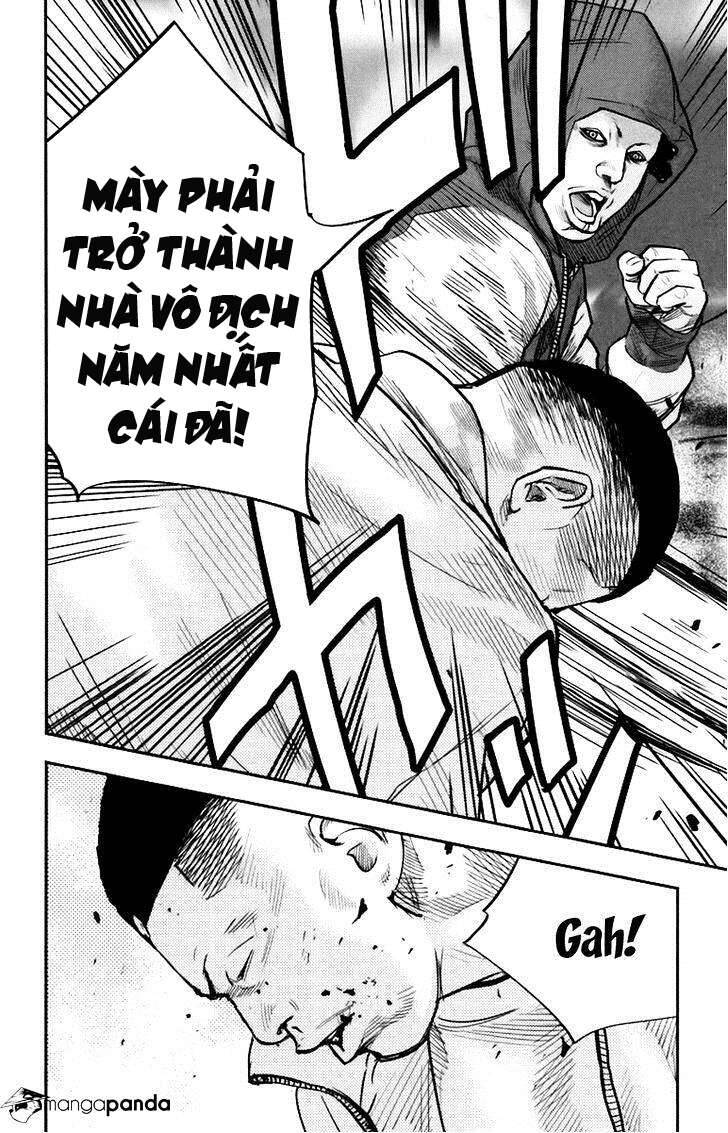 Clover (Tetsuhiro Hirakawa) Chapter 246 - Trang 2