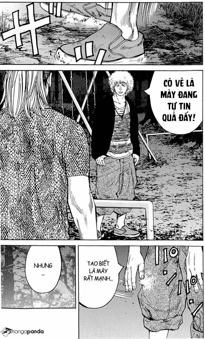 Clover Chapter 174 - Trang 2