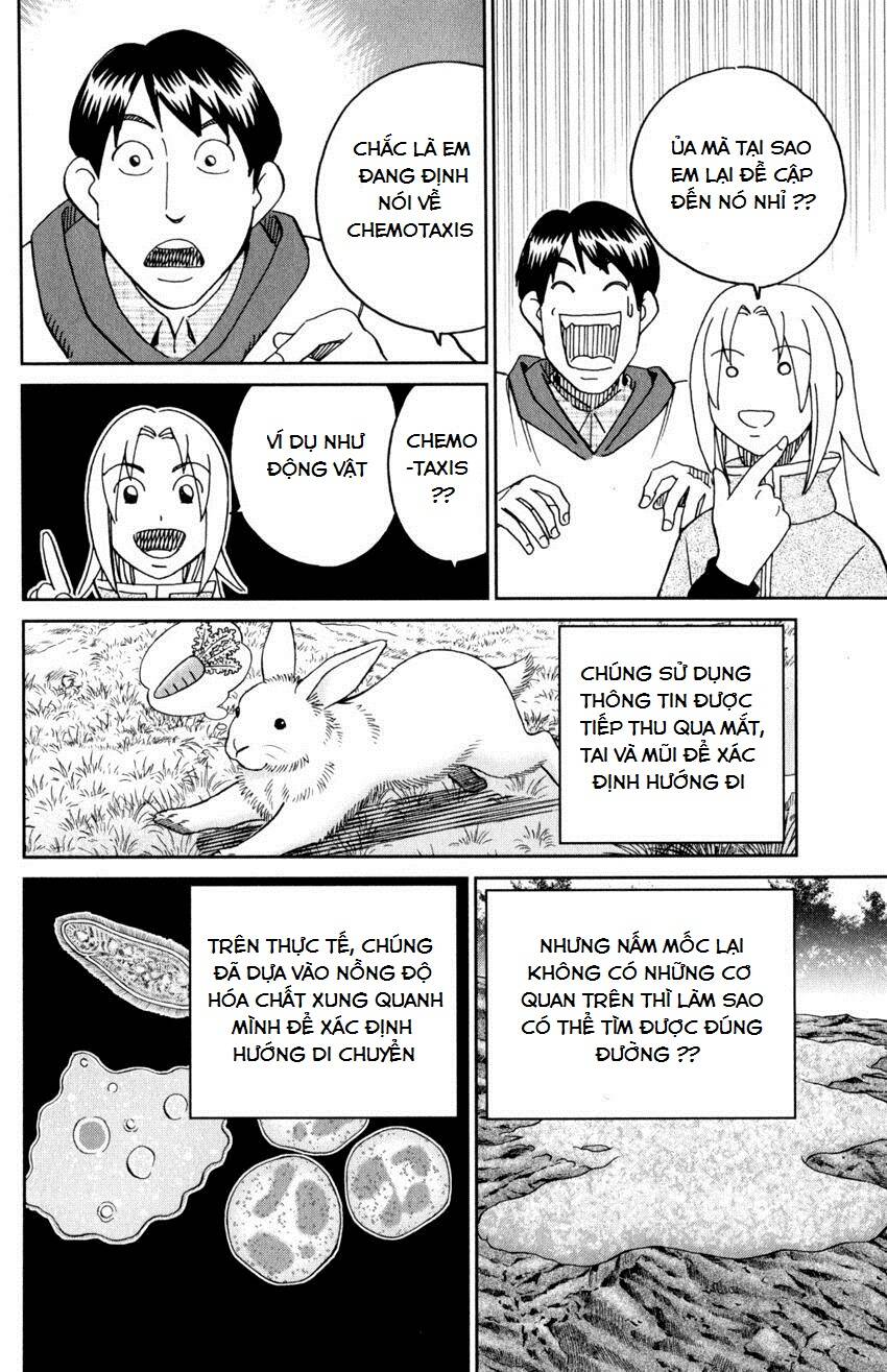 C.M.B. – Danh Sách Sự Cố Viện Bảo Tàng Shinra Chapter 143 - Trang 2