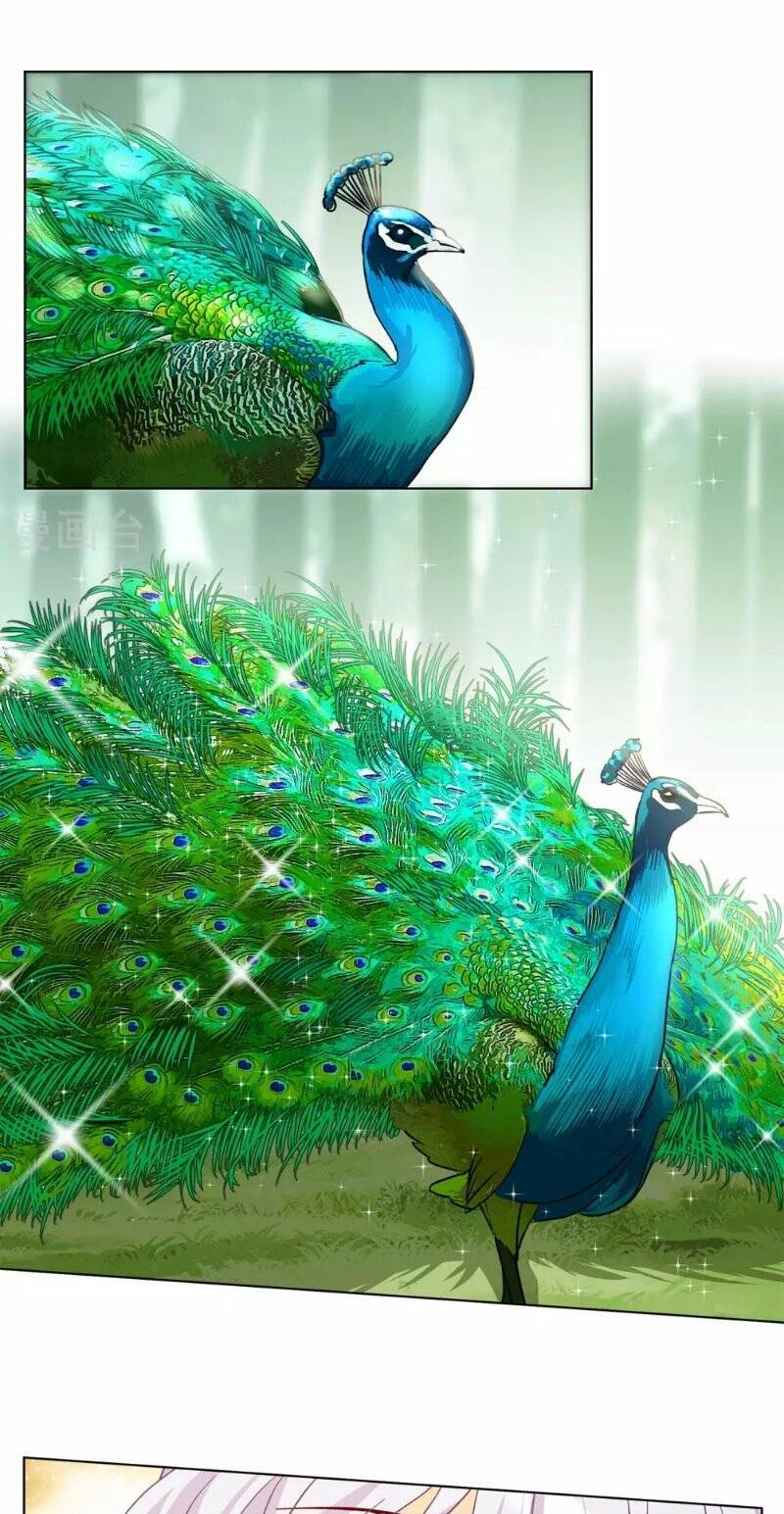 Cô Ấy Đến Rồi, Xin Hãy Nằm Xuống! Chapter 119 - Trang 2