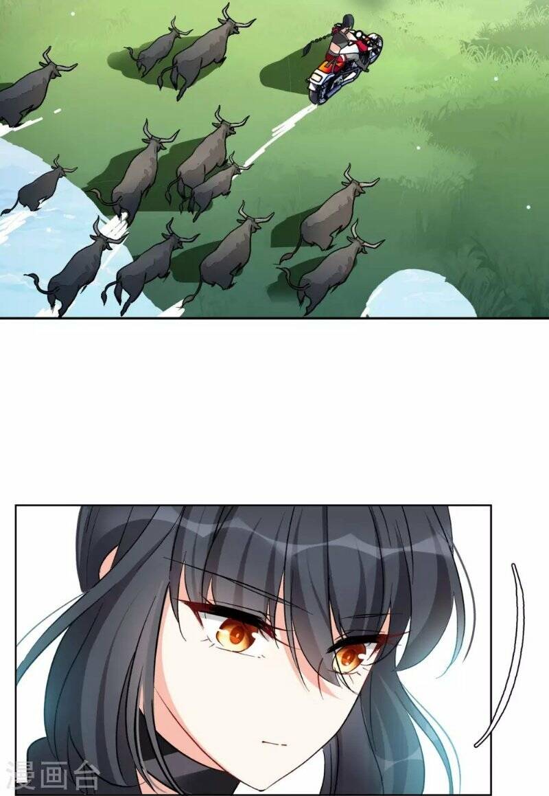 Cô Ấy Đến Rồi, Xin Hãy Nằm Xuống! Chapter 123 - Trang 2