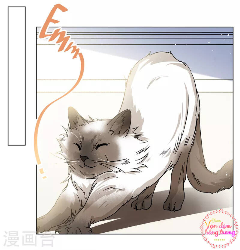Cô Ấy Đến Rồi, Xin Hãy Nằm Xuống! Chapter 235 - Trang 2