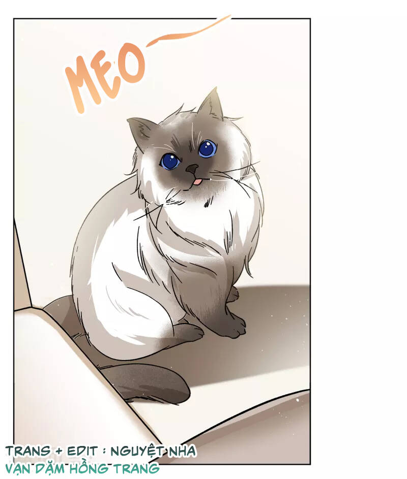 Cô Ấy Đến Rồi, Xin Hãy Nằm Xuống! Chapter 235 - Trang 2