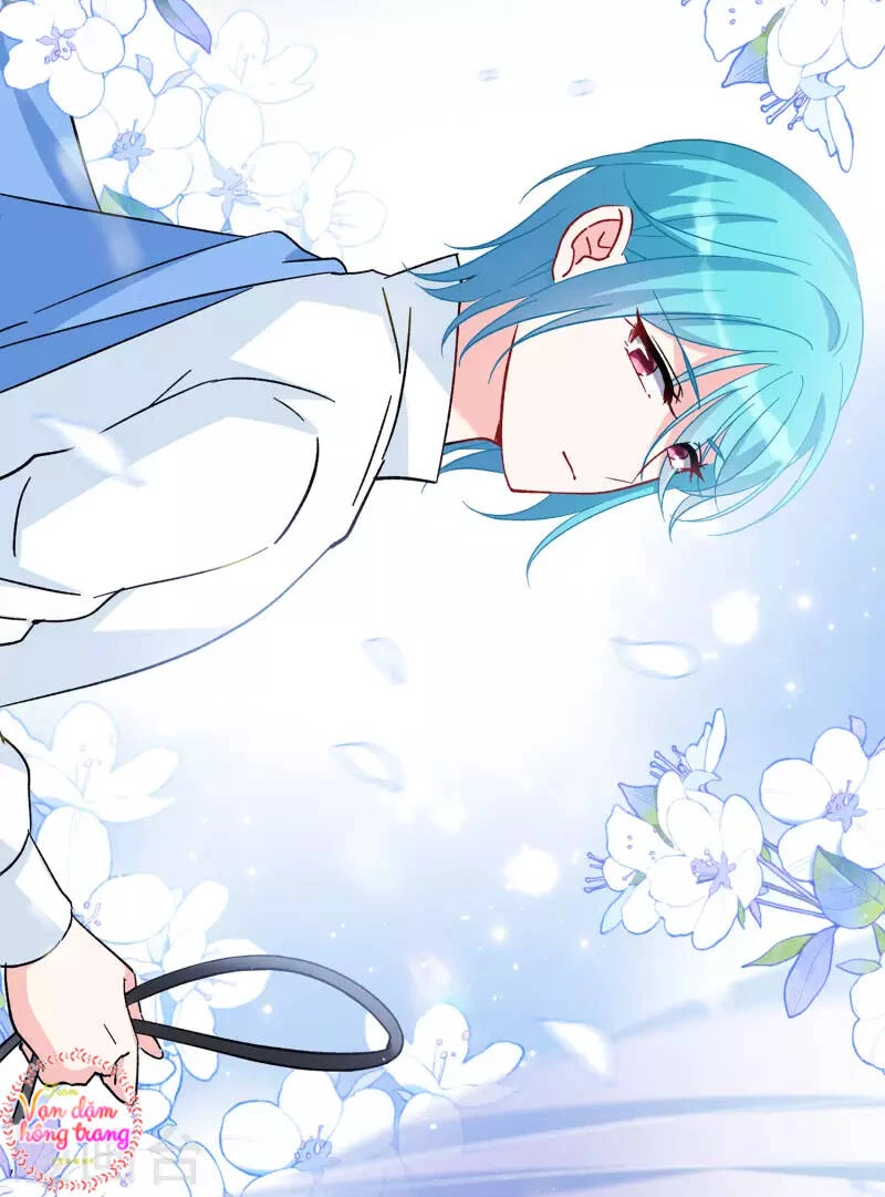 Cô Ấy Đến Rồi, Xin Hãy Nằm Xuống! Chapter 240 - Trang 2