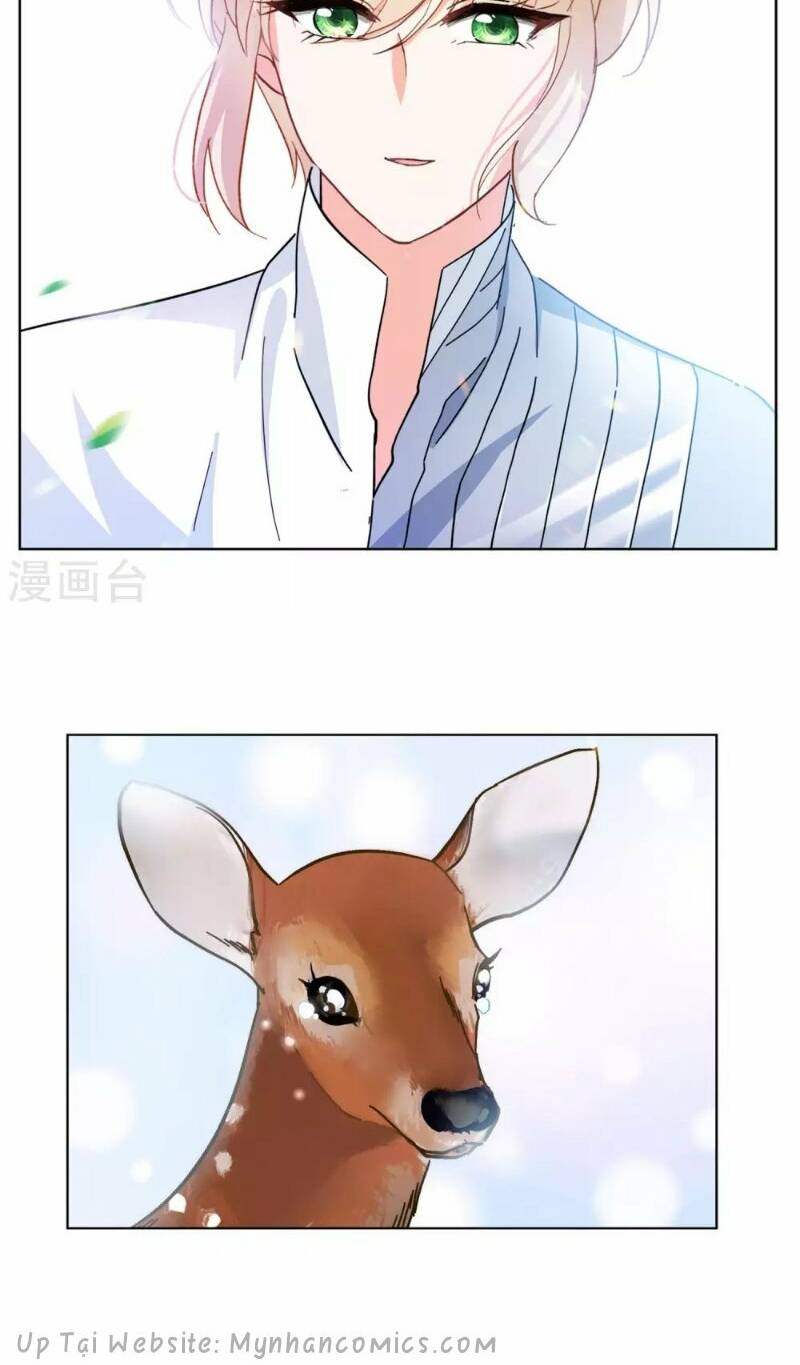 Cô Ấy Đến Rồi, Xin Nằm Xuống! Chapter 117 - Trang 2