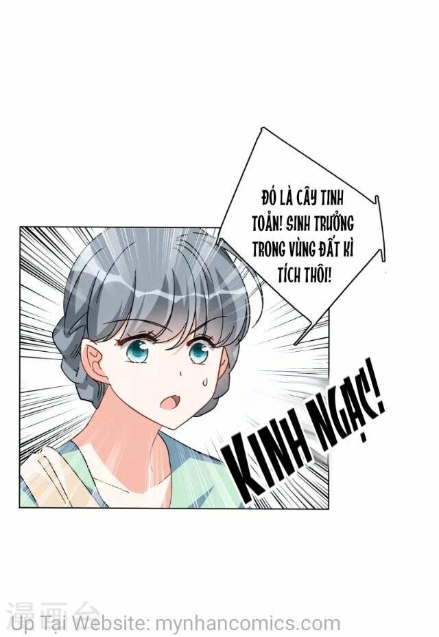 Cô Ấy Đến Rồi, Xin Nằm Xuống! Chapter 135 - Trang 2