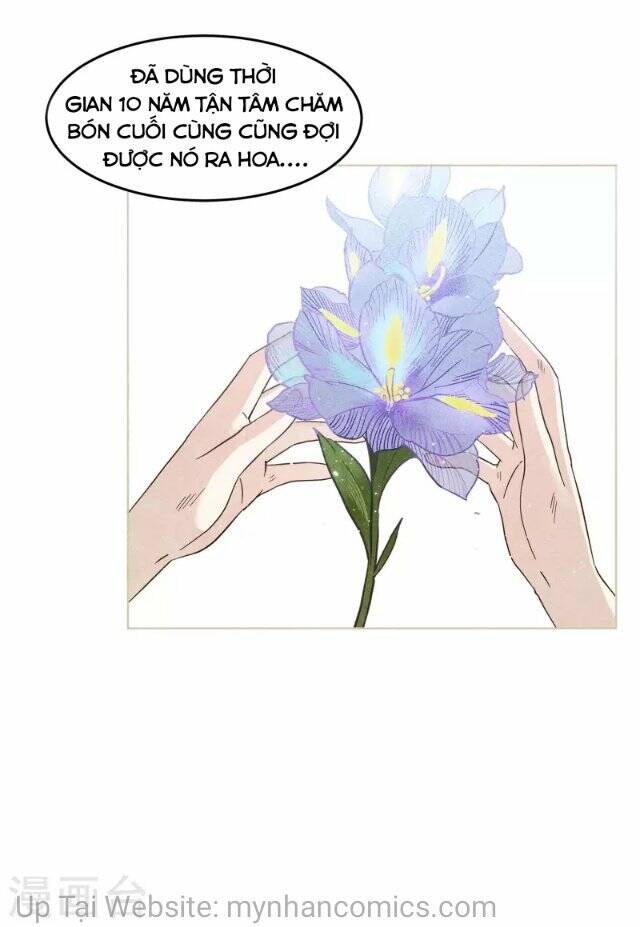 Cô Ấy Đến Rồi, Xin Nằm Xuống! Chapter 137 - Trang 2