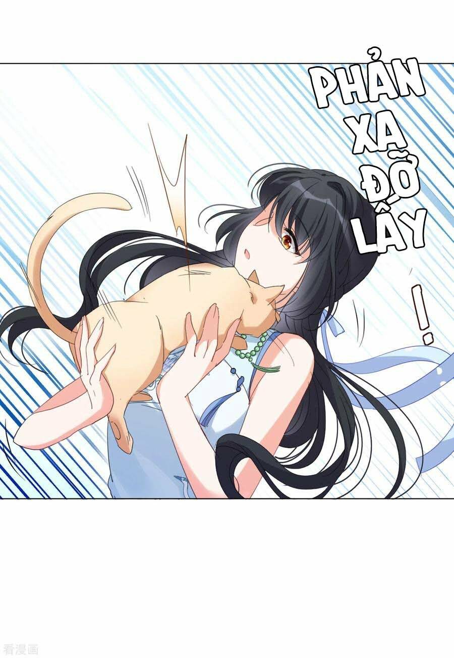 Cô Ấy Đến Rồi, Xin Nằm Xuống! Chapter 69 - Trang 2