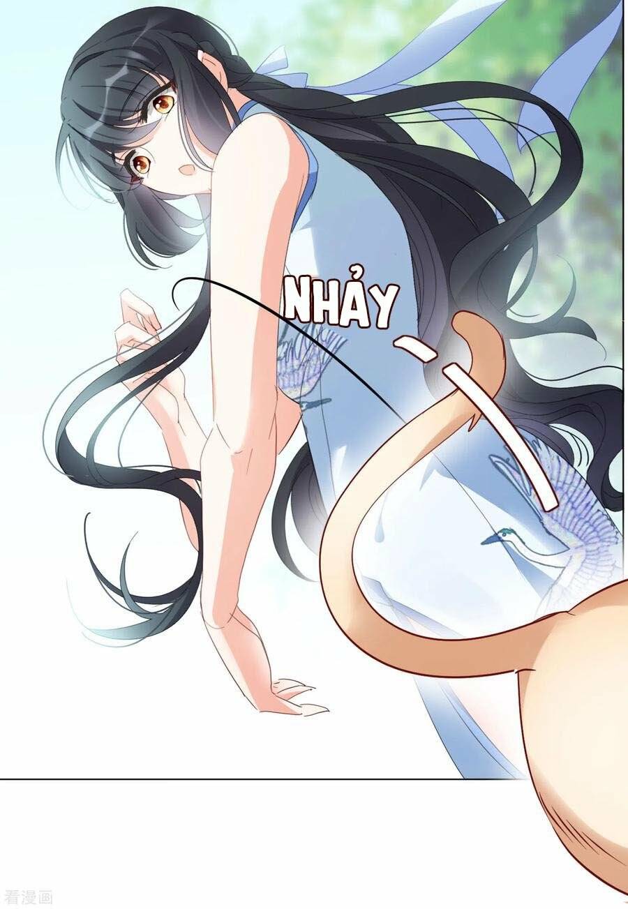 Cô Ấy Đến Rồi, Xin Nằm Xuống! Chapter 69 - Trang 2