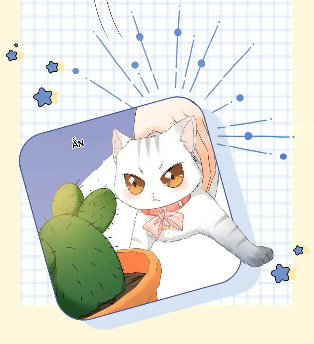 Cô Ấy Ngày Nào Cũng Lên Hot Search! Chapter 101 - Trang 2