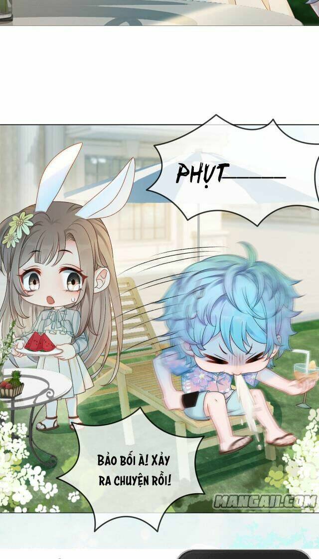 Cô Ấy Ngày Nào Cũng Lên Hot Search! Chapter 11 - Trang 2