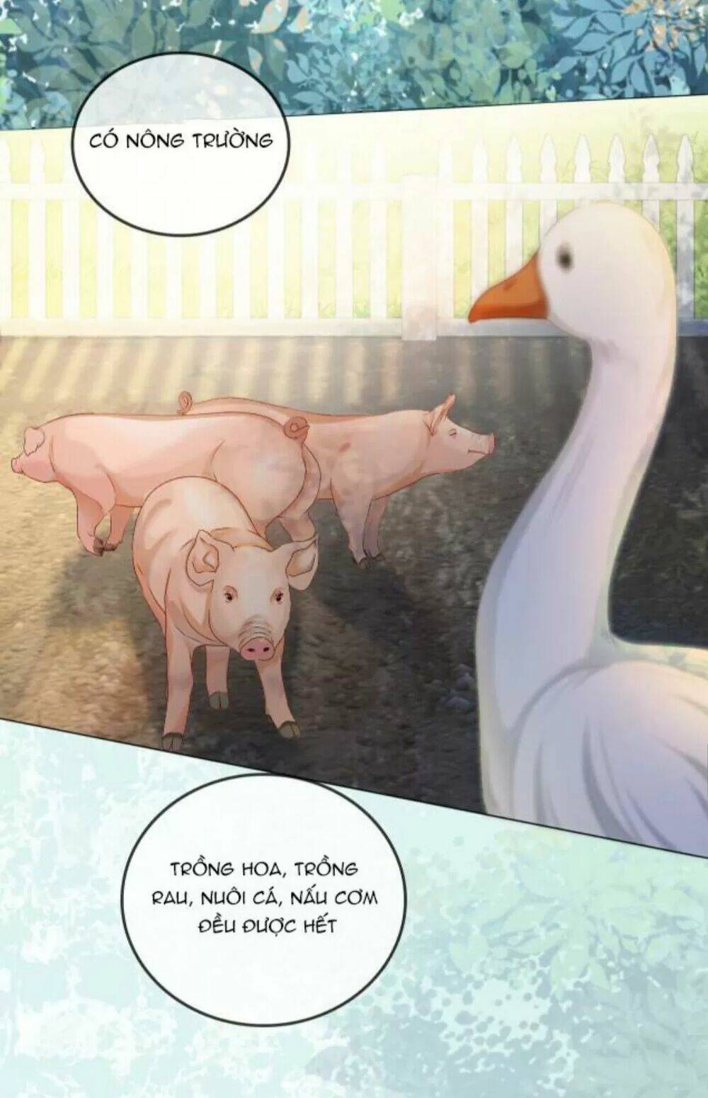 Cô Ấy Ngày Nào Cũng Lên Hot Search! Chapter 13 - Trang 2