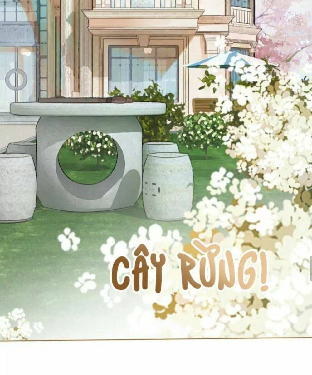 Cô Ấy Ngày Nào Cũng Lên Hot Search! Chapter 14 - Trang 2