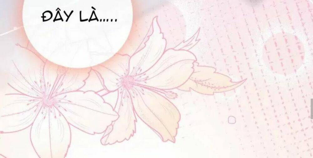 Cô Ấy Ngày Nào Cũng Lên Hot Search! Chapter 19 - Trang 2