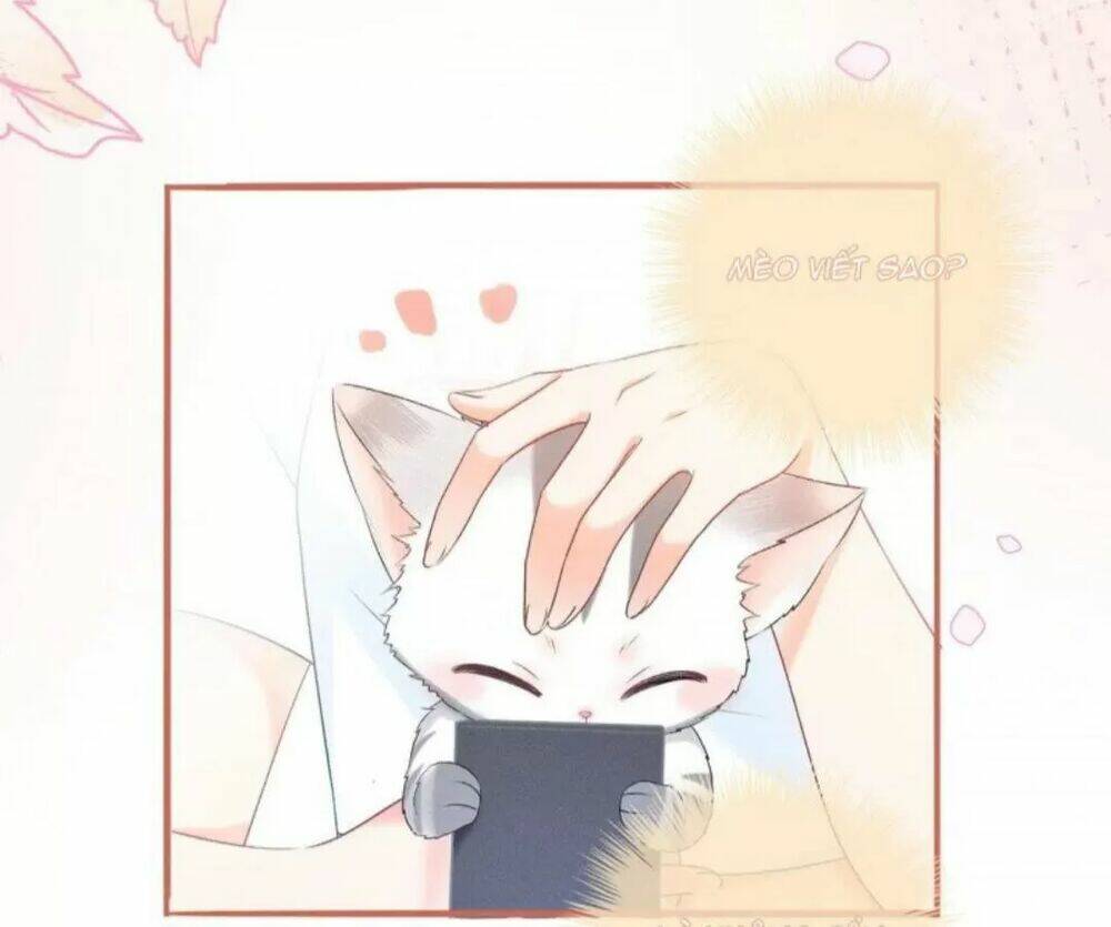 Cô Ấy Ngày Nào Cũng Lên Hot Search! Chapter 19 - Trang 2