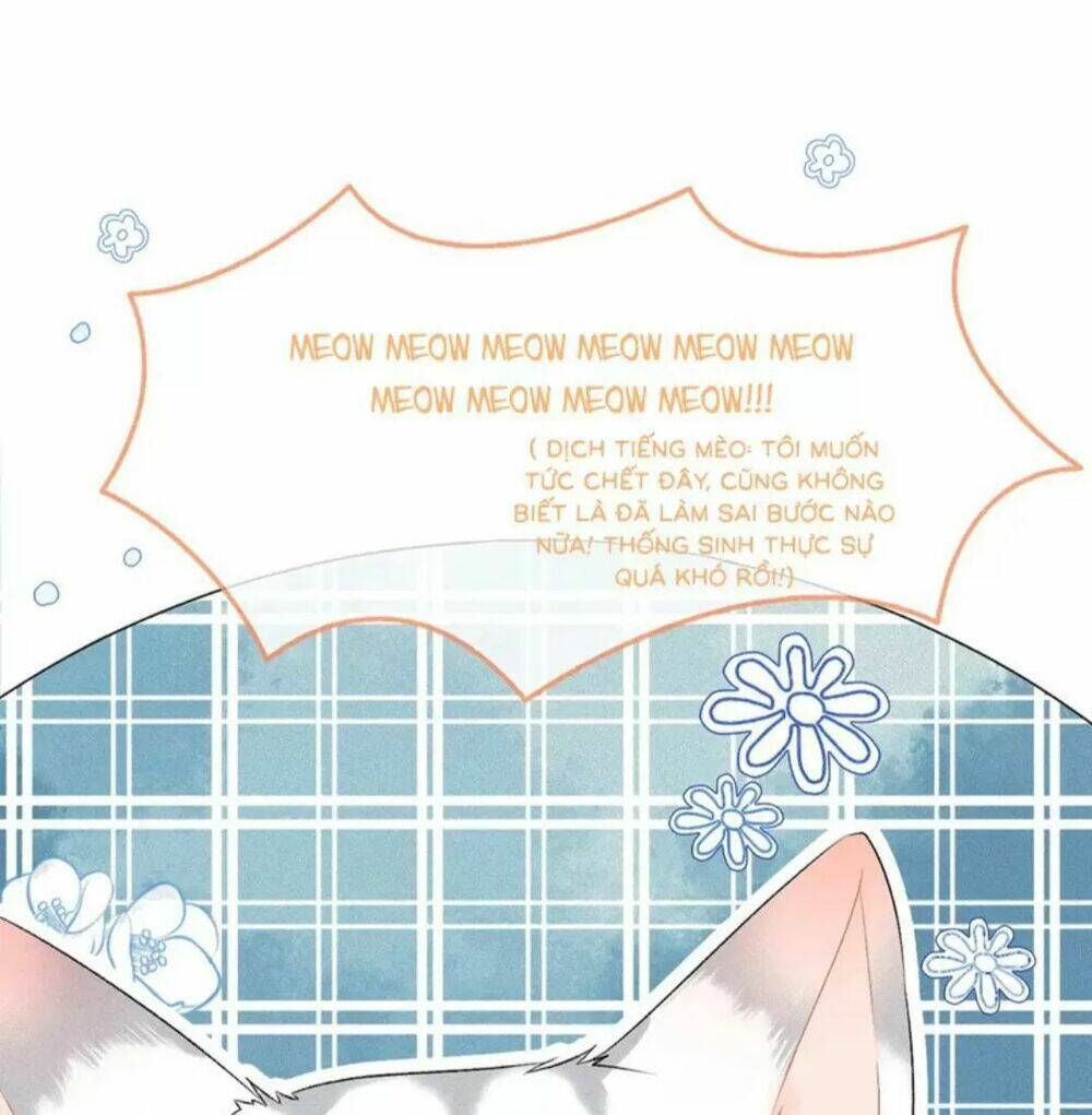 Cô Ấy Ngày Nào Cũng Lên Hot Search! Chapter 20 - Trang 2